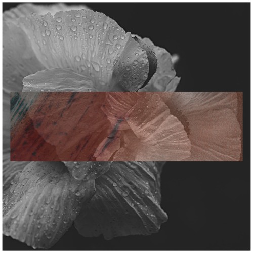 DS Premiere: Denø - Zero Peak [AE077]