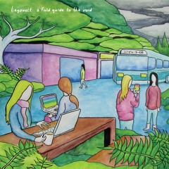 Legowelt - A Field Guide To The Void - CJFD43LP