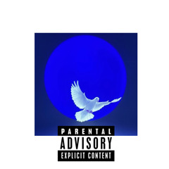 wyw ft (fhyberz) p. NIKOVOLLMER