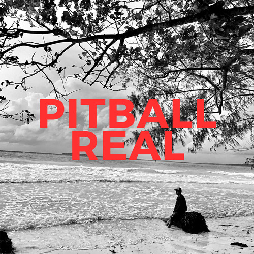 Stream Roll Up (Marijuana) [feat. Mr. AB & Saints Bii] by Pitball Real |  Listen online for free on SoundCloud