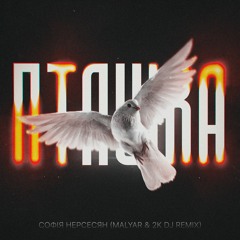 Софія Нерсесян - Пташка (MalYar, 2K DJ Remix)