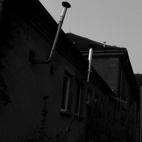 Antwort_an_den_Verfall