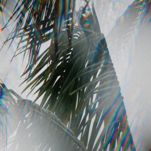 Vibe : Preview