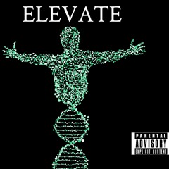 Prophecy "ELEVATE"