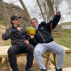MELONpaso bien con el newstyle(b2b)