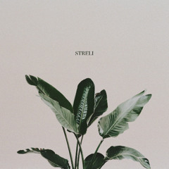 loop schrauber x hans hu$tle - streli