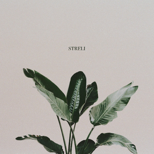 loop schrauber x hans hu$tle - streli