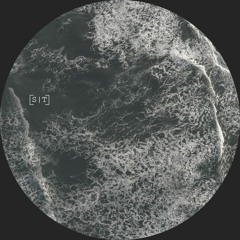 Data Domain - Exploration Images (ST032)