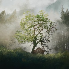Like Saturn - lucid unknowns