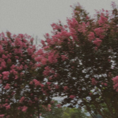 ecivreslarenuf - Saving Ourselves