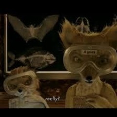 I Like Your Ears - Cassanova