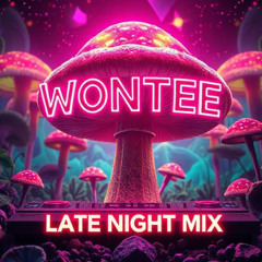 Wontee Late Night Mix Mk1