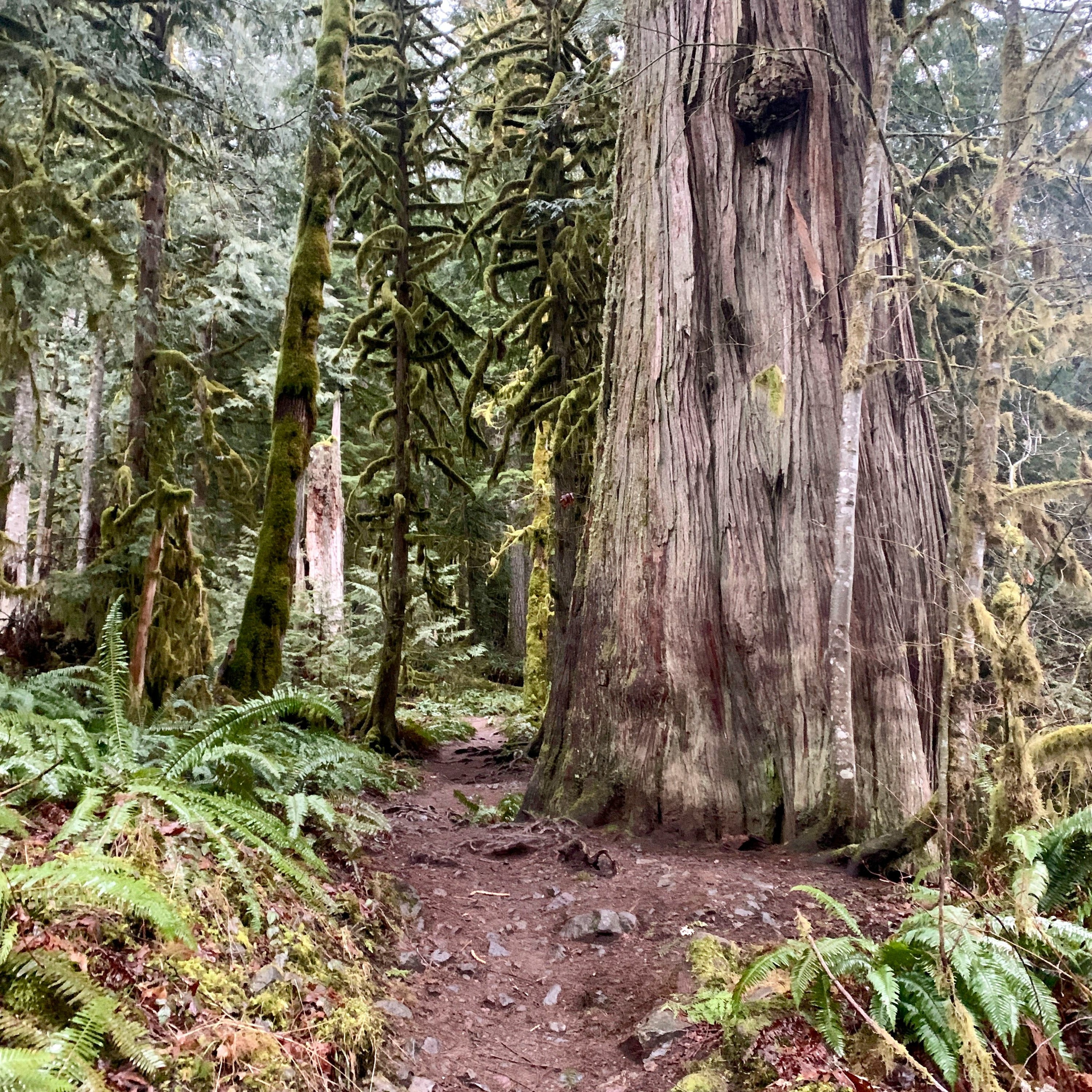 Explore Oregon Podcast: The state\'s most beautiful places and biggest issues