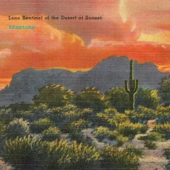 Lone Sentinel - Pfamtone - Dub Hi Fidelity Style Session 112bpm