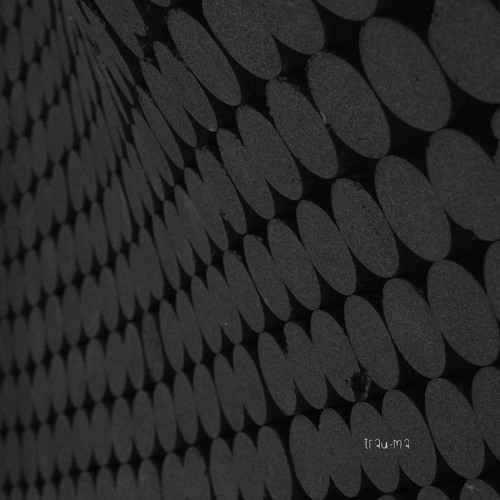 Nicko Shuo - Futura (Original Mix) [TRM302]