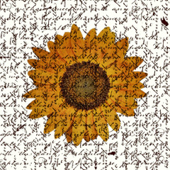 As I Weep (prod. c world)