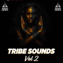 TRIBE Sound -Brian Medina VOL2