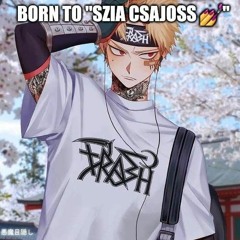 Halotti based XDDDDD