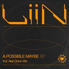 1. LiiN - A Possible Maybe (Alan Dixon Remix)