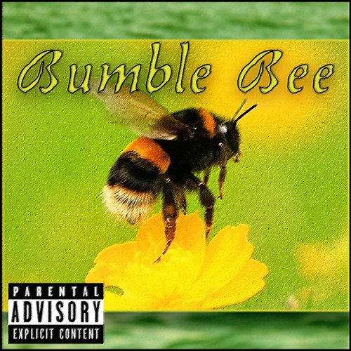 Bumble Bee ft. Vengeance (prod. @noevdv x @says6x)