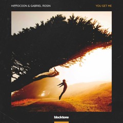 Hippocoon & Gabriel Rosin - You Get Me