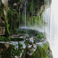 catch a vibe😺✌️