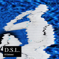 D.S.L.