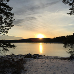 Perfect - Original - Adam Hagymasi, Tom Hagymasi, Steve Caley, (Polina Crotty, Lyrics)