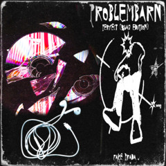 PROBLEMBARN - PERFECT (FAKE PRADA $WAG EDIT)