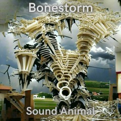 Bonestorm