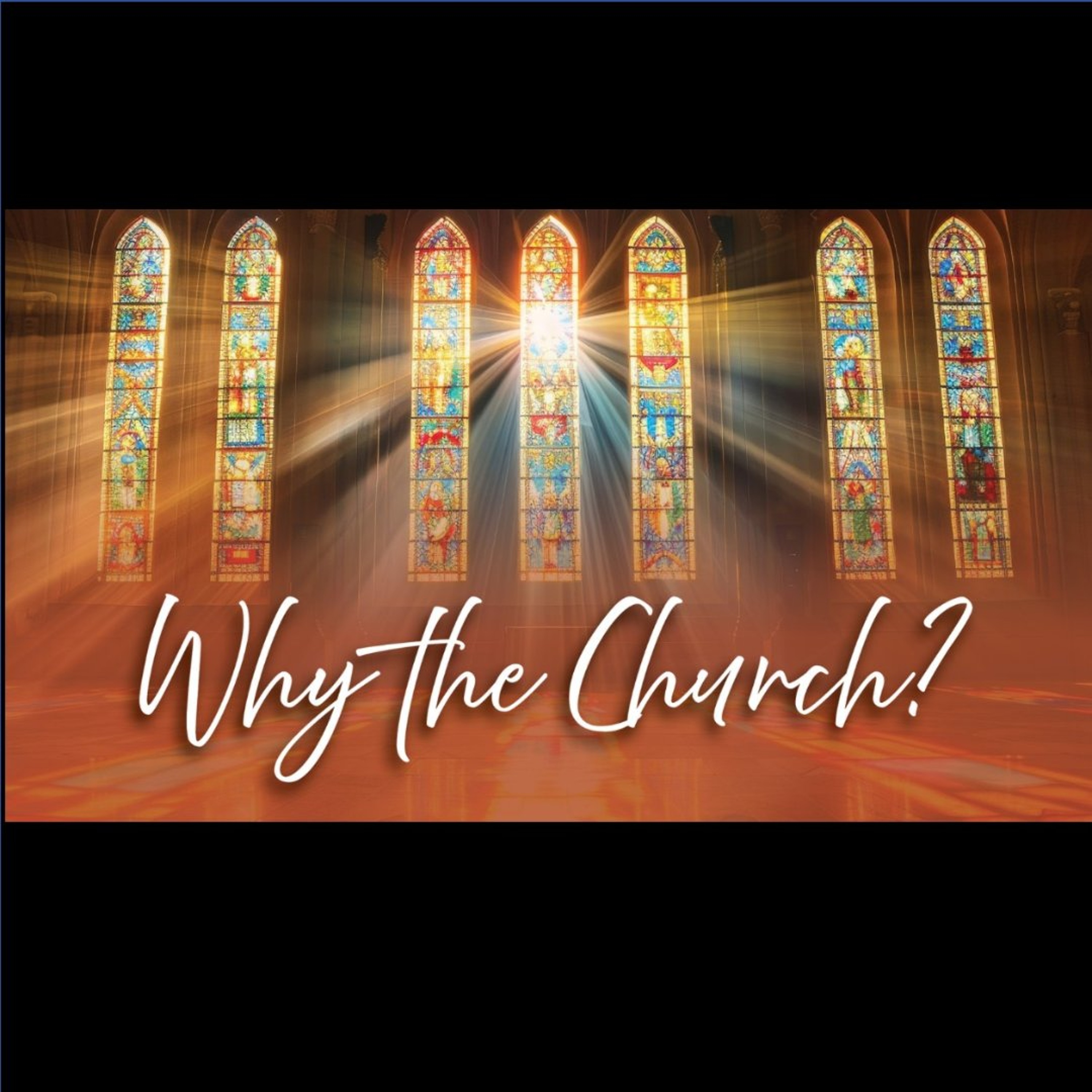 Sermon 2026-10-04 Fr David Trinity Parish St Augustine FL episode artwork