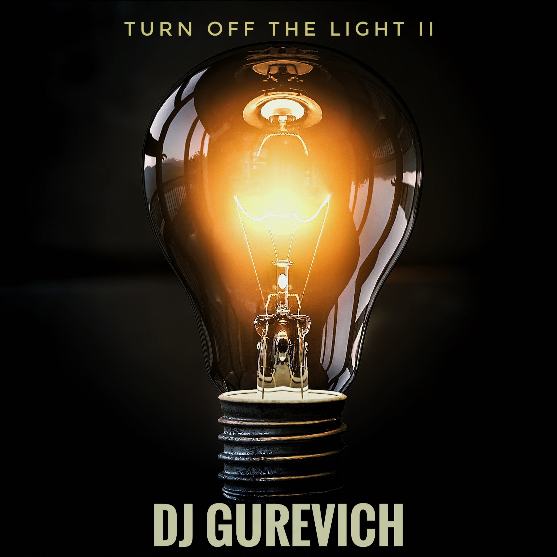 Preuzimanje datoteka Dj Gurevich - Turn off light II