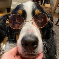 White girl remixes💃💅 (Part: 1)