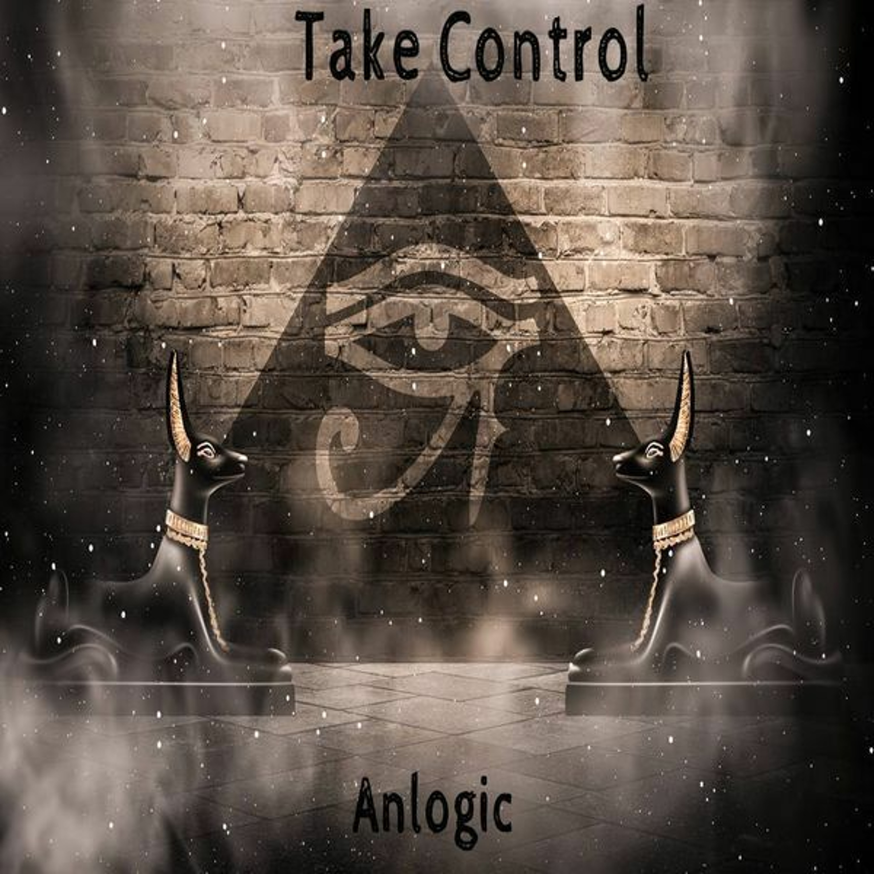 Anlogic