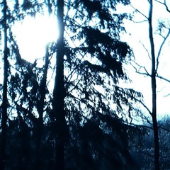 these thoughts torment me