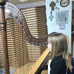 Waltz of the Flowers Harp Ensemble