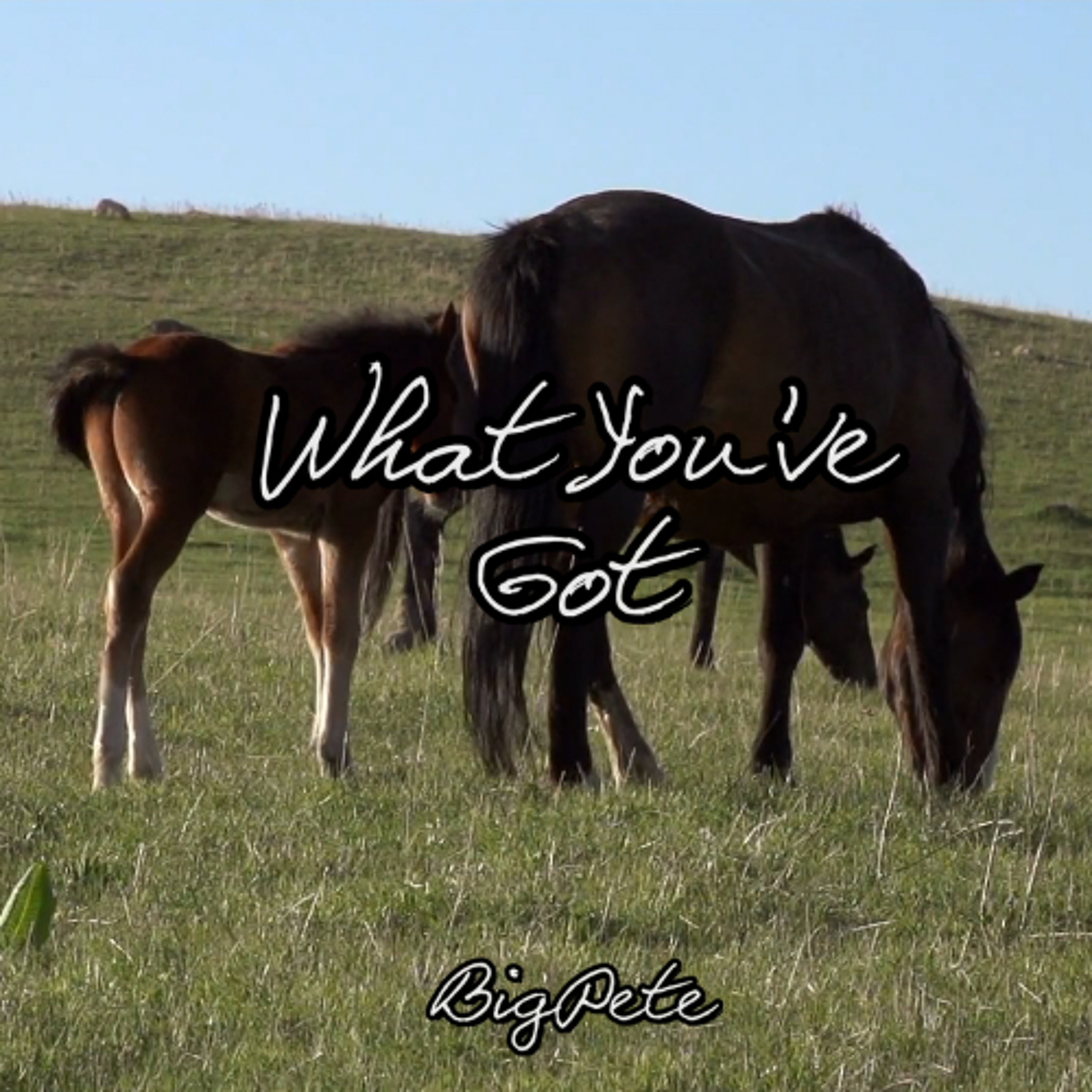 What You've Got episode artwork