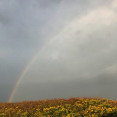 Porch - Sleepwalking