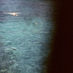 𓆉 music for sea turtles suspended in eternal light ༄