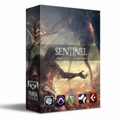 Panda Sound - Sentinel Session