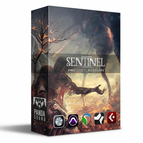 Panda Sound - Sentinel Session