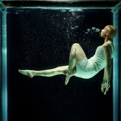 Fluidity Of Movement