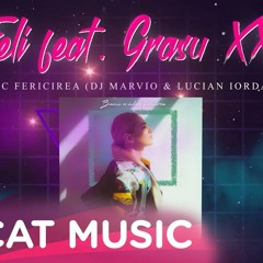 Feli feat. Grasu XXL - Banii n-aduc fericirea (DJ Marvio & Lucian Iordache Remix)