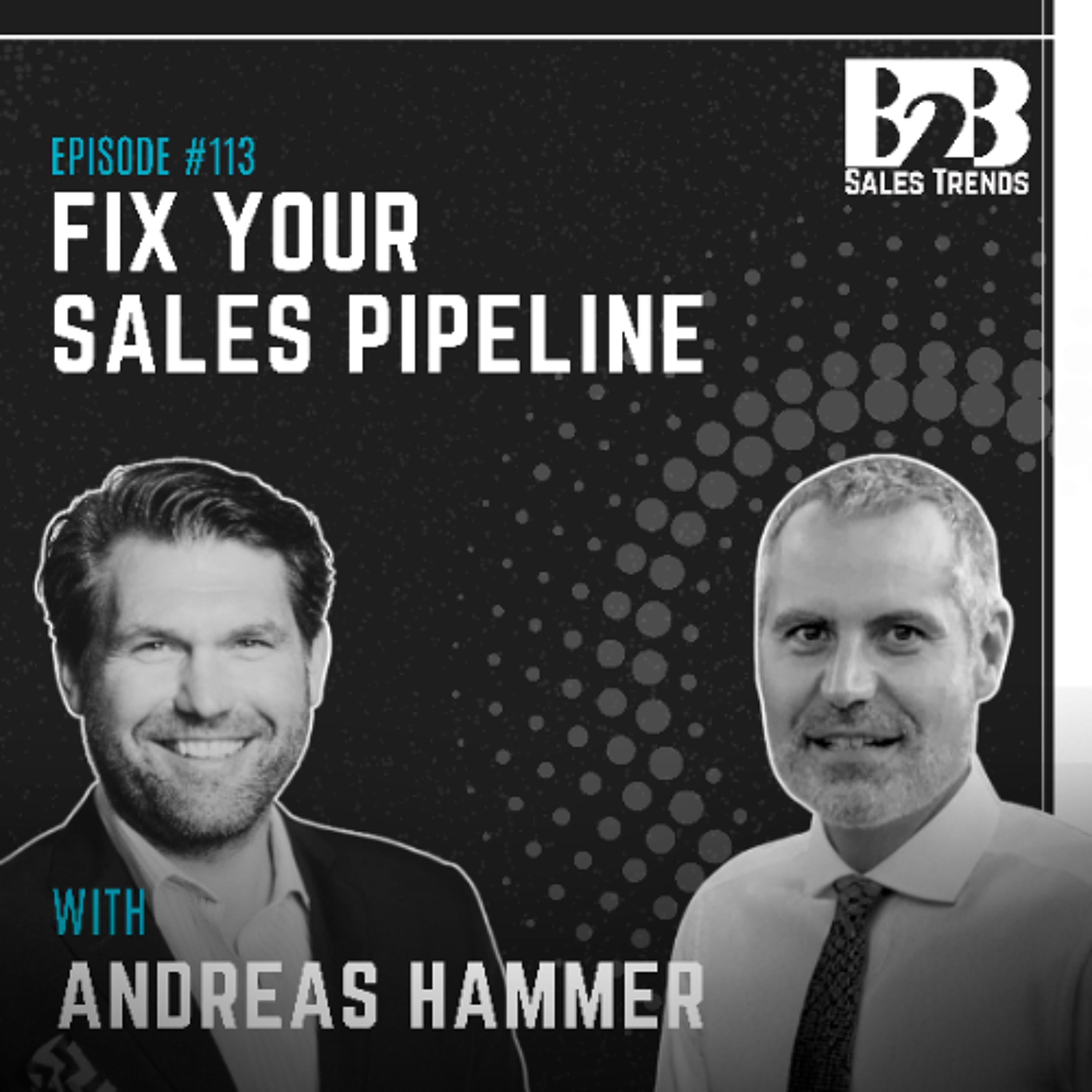 113. Sales Leadership Secrets: Fix Your Sales Pipeline Management episode artwork