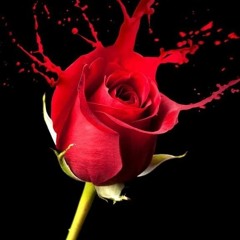 Golden Hip-Hop 11-01-2022 02-11.wav