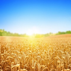 Eine Auswahl aus den zehn Textstellen des Wortes Gottes über „Arbeit und Eintritt“  Teil Eins