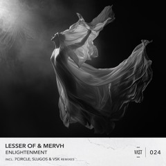Lost In Ether | P R E M I E R E | MERVH & Lesser Of  - Inevitable Destiny (VSK Remix)