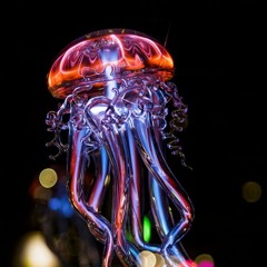 Professor Dictabeat - Neon Jellyfish