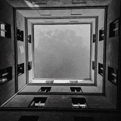 THE MIRROR