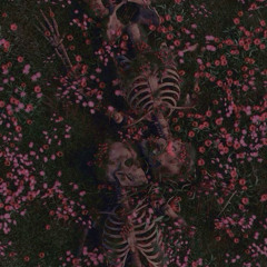 silence - maybe im just in her dreams?